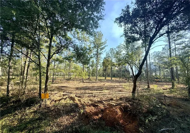 Land for sale at Lot4 Tbd Lee Rd, Franklinton, LA 70438 | MLS# 2557606