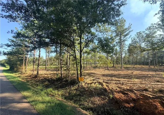 Photo 3 of Land for sale at Lot4 Tbd Lee Rd, Franklinton, LA 70438 | MLS# 2557606 | Listing updated on 2026-09-18