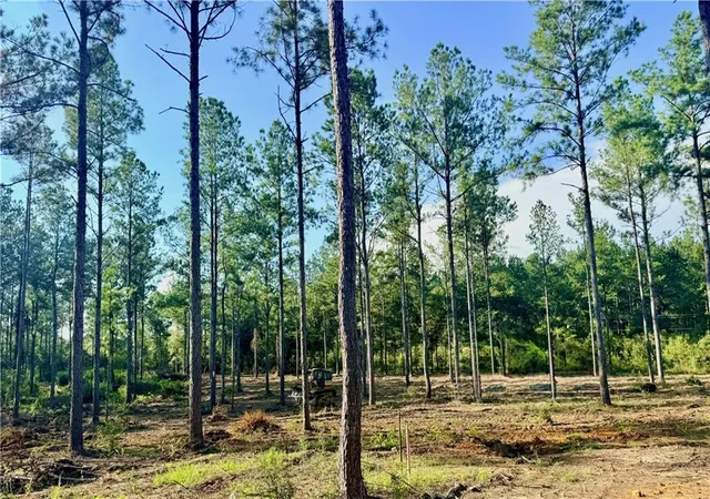 Photo 4 of Land for sale at Lot4 Tbd Lee Rd, Franklinton, LA 70438 | MLS# 2557606 | Listing updated on 2026-09-29