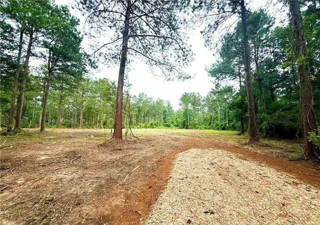 Photo 3 of Land for sale at Lot5 Tbd Lee Rd, Franklinton, LA 70438 | MLS# 2557607 | Listing updated on 2026-09-29