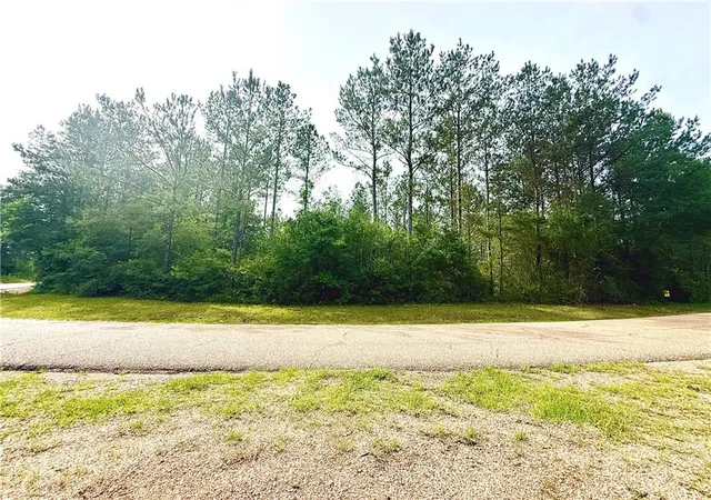 Photo 3 of Land for sale at Lot6 Tbd Lee Rd, Franklinton, LA 70438 | MLS# 2557608 | Listing updated on 2026-09-29