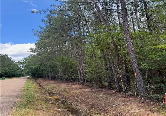 Land for sale at Tbd Lavinghouse Rd, Bush, LA 70431 | MLS# 2559311