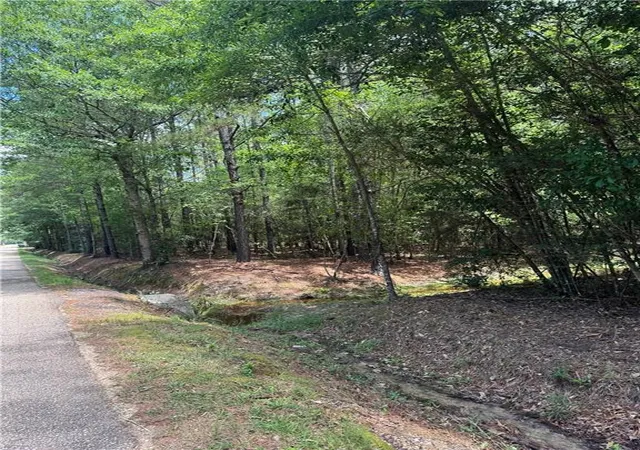 Photo 2 of Land for sale at Tbd Lavinghouse Rd, Bush, LA 70431 | MLS# 2559311 | Listing updated on 2026-09-07
