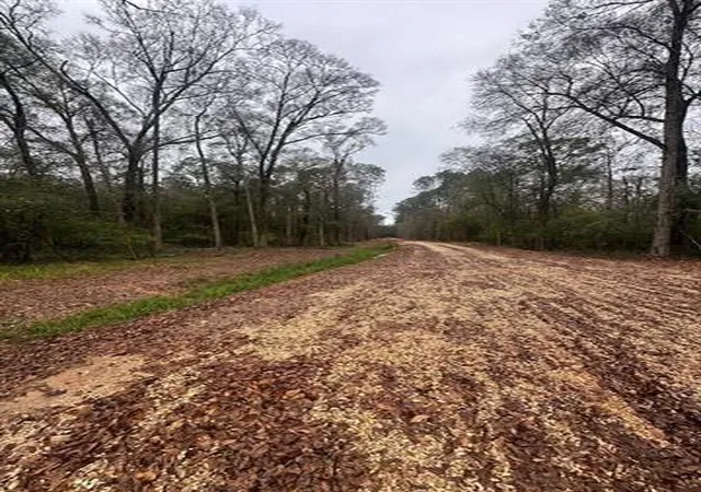 Photo 3 of Land for sale at Lot E Hunter Oaks Ln, Covington, LA 70435 | MLS# 2560539 | Listing updated on 2026-09-17