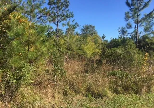 Land for sale at Tba Bonnie Ln, Covington, LA 70435 | MLS# 2562117