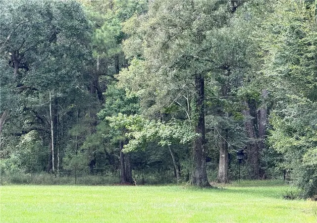Photo 3 of Land for sale at W Portier Rd, Ponchatoula, LA 70454 | MLS# 2567745 | Listing updated on 2026-10-02