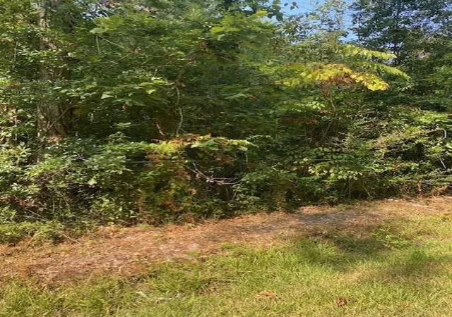 Photo 3 of Land for sale at Ave C Aka Rev Leo P Edgerson Dr, Mandeville, LA 70448 | MLS# 2571120 | Listing updated on 2026-09-16