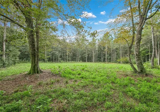 Photo 2 of Land for sale at 105 Hialeah Dr, Bush, LA 70431 | MLS# 2570986 | Listing updated on 2026-10-01