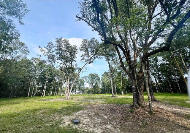 Photo 3 of Land for sale at 47250 Monticello Dr, Hammond, LA 70403 | MLS# 2571597 | Listing updated on 2026-09-09