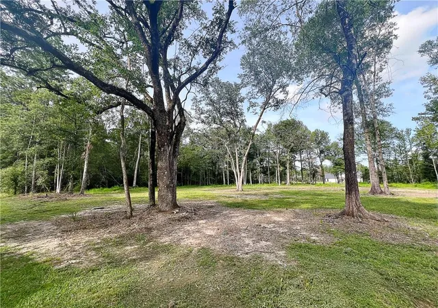 Photo 3 of Land for sale at 47250 Monticello Dr, Hammond, LA 70403 | MLS# 2571597 | Listing updated on 2026-09-09