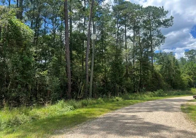 Photo 2 of Land for sale at 0 Mashie St, Abita Springs, LA 70420 | MLS# 2571440 | Listing updated on 2026-09-15