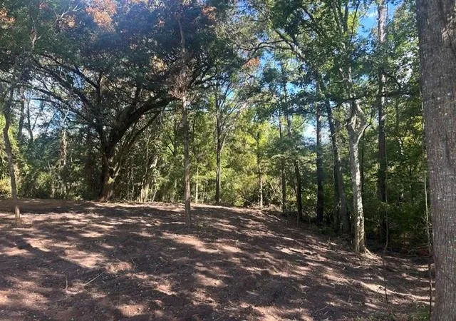 Photo 3 of Sale Pending at Stepp Rd, Robert, LA 70455 | MLS# 2571679 | Listing updated on 2026-09-21