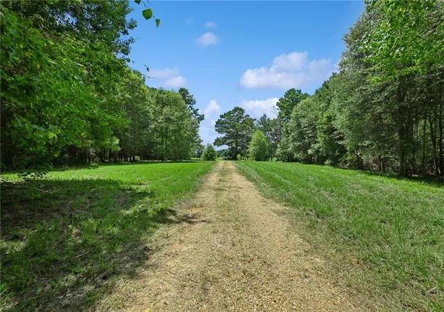 Photo 3 of Single family home for sale at 25290 Highway 450, Franklinton, LA 70438 | MLS# 2572214 | Listing updated on 2026-09-16