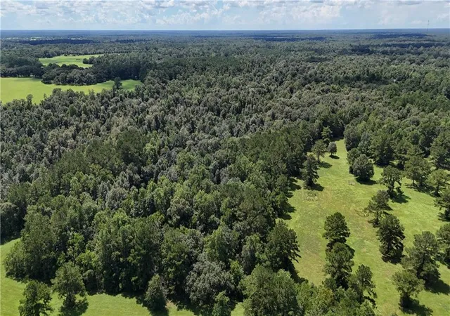 Photo 2 of Land for sale at 21258 Wallace King Rd, Bush, LA 70431 | MLS# 2574941 | Listing updated on 2026-09-04