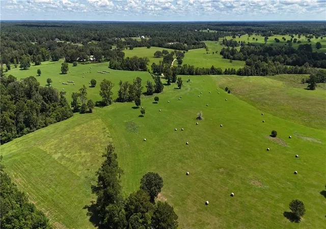 Photo 3 of Land for sale at 21258 Wallace King Rd, Bush, LA 70431 | MLS# 2574941 | Listing updated on 2026-09-04