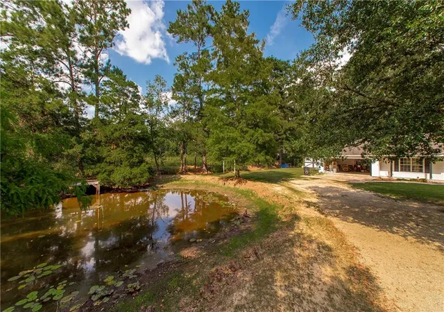Photo 3 of Single family home for sale at 14259 Highway 22, Ponchatoula, LA 70454 | MLS# 2575222 | Listing updated on 2026-09-08