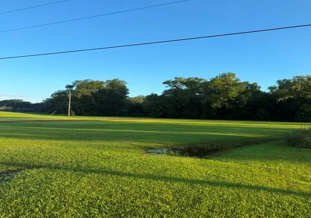 Photo 2 of Land for sale at 48176 Rogers A Rd, St Amant, LA 70774 | MLS# 2575477 | Listing updated on 2026-09-15
