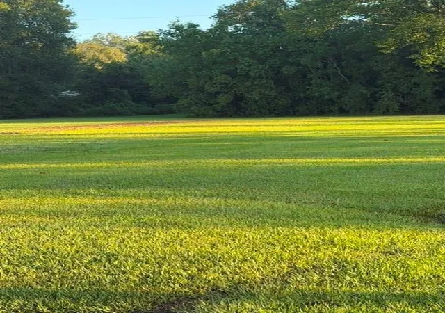 Photo 4 of Land for sale at 48176 Rogers A Rd, St Amant, LA 70774 | MLS# 2575477 | Listing updated on 2026-09-15