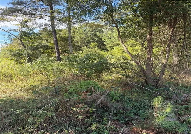 Photo 3 of Land for sale at Highway 36, Abita Springs, LA 70420 | MLS# 2575527 | Listing updated on 2026-09-09