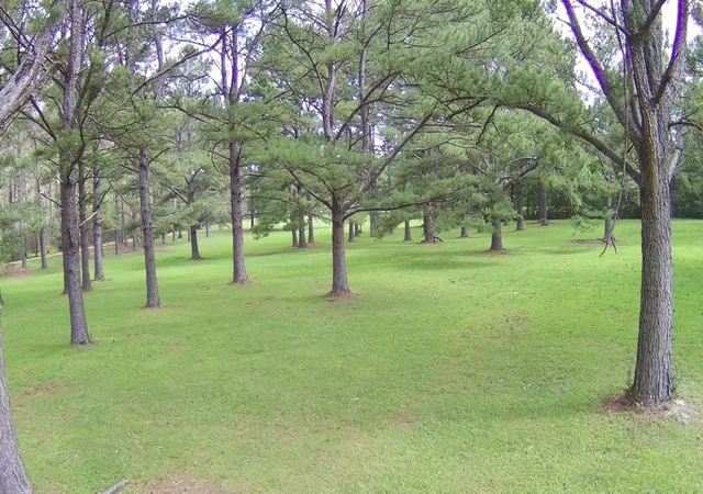 Land for sale at 000 Thompson Ln, Carriere, MS 39426 | MLS# 2575551