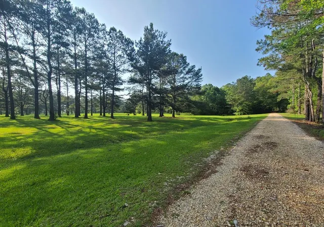 Photo 2 of Land for sale at 000 Thompson Ln, Carriere, MS 39426 | MLS# 2575551 | Listing updated on 2026-09-04