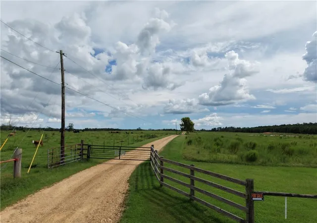Land for sale at Tbd E Bell Rd, Amite, LA 70422 | MLS# 2572900