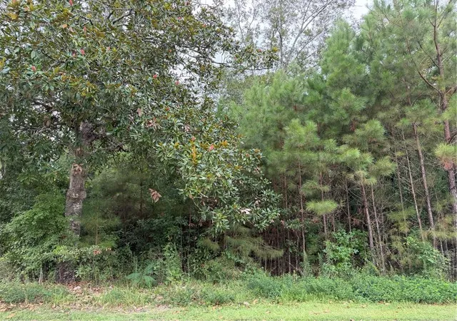 Photo 1 of Land for sale at 205 Belle Grv Ct, Pearl River, LA 70452 | MLS# 2575926 | Listing updated on 2026-09-06