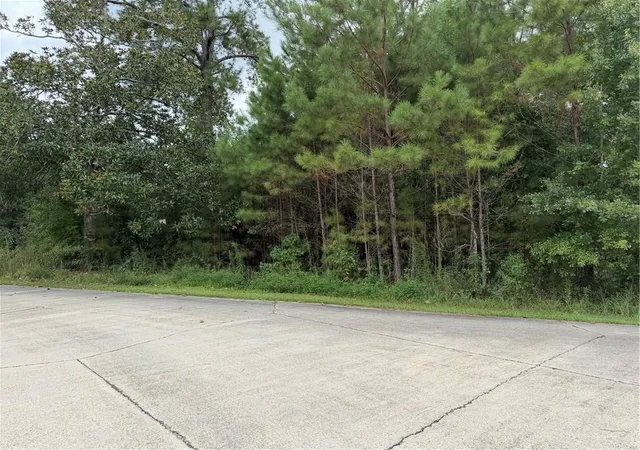 Photo 2 of Land for sale at 205 Belle Grv Ct, Pearl River, LA 70452 | MLS# 2575926 | Listing updated on 2026-09-06