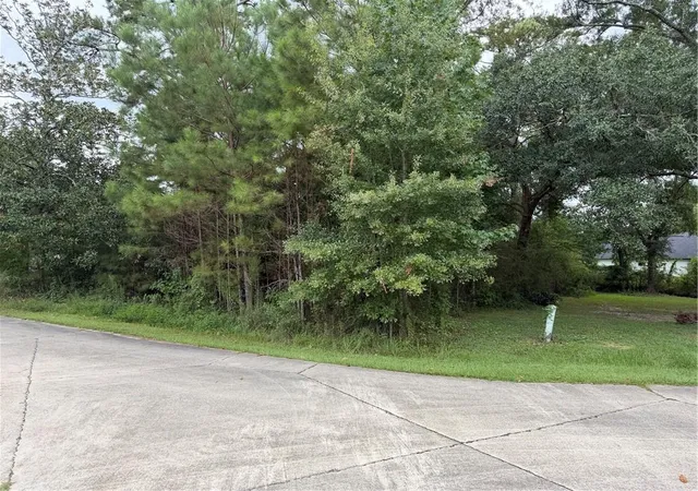 Photo 3 of Land for sale at 205 Belle Grv Ct, Pearl River, LA 70452 | MLS# 2575926 | Listing updated on 2026-09-06