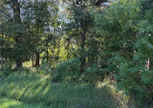 Photo 2 of Land for sale at 821 Atalin St, Mandeville, LA 70448 | MLS# 2575957 | Listing updated on 2026-09-06