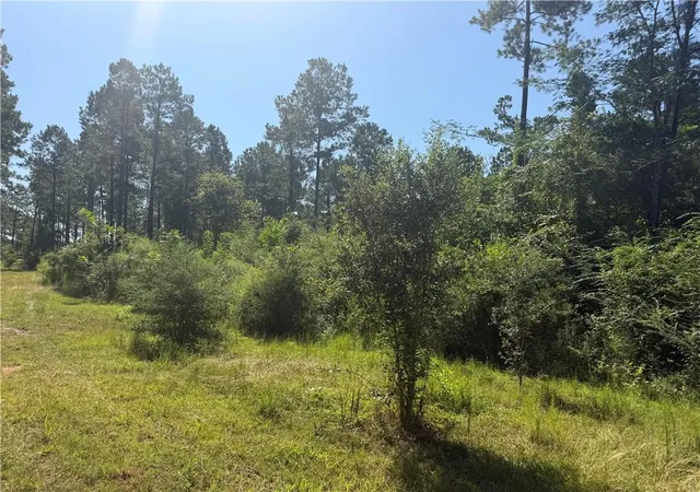 Photo 1 of Land for sale at Crooked Crk Rd, Kentwood, LA 70444 | MLS# 2574650 | Listing updated on 2026-09-23