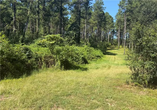 Photo 2 of Land for sale at Crooked Crk Rd, Kentwood, LA 70444 | MLS# 2574650 | Listing updated on 2026-09-23