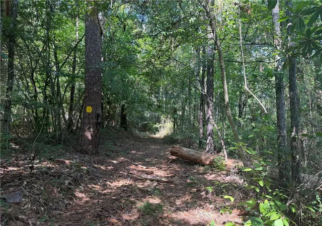 Photo 3 of Land for sale at Crooked Crk Rd, Kentwood, LA 70444 | MLS# 2574650 | Listing updated on 2026-09-23