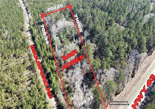 Photo 1 of Land for sale at 3 Acres Hwy 43, Independence, LA 70443 | MLS# 2576169 | Listing updated on 2026-09-08
