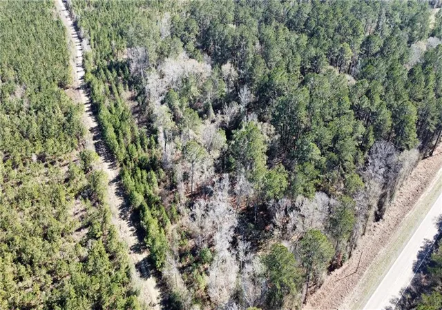 Photo 2 of Land for sale at 3 Acres Hwy 43, Independence, LA 70443 | MLS# 2576169 | Listing updated on 2026-09-08