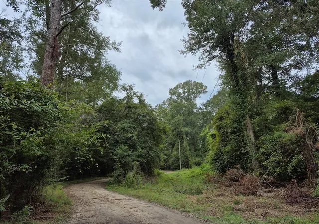 Photo 2 of Land for sale at 0 S River Rd, Angie, LA 70426 | MLS# 2576656 | Listing updated on 2026-09-14