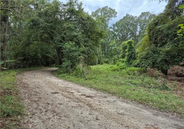 Photo 3 of Land for sale at 0 S River Rd, Angie, LA 70426 | MLS# 2576656 | Listing updated on 2026-09-14