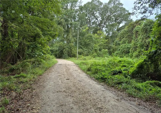 Photo 3 of Land for sale at 0 S River Rd, Angie, LA 70426 | MLS# 2576656 | Listing updated on 2026-09-14