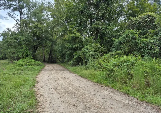 Photo 4 of Land for sale at 0 S River Rd, Angie, LA 70426 | MLS# 2576656 | Listing updated on 2026-09-14