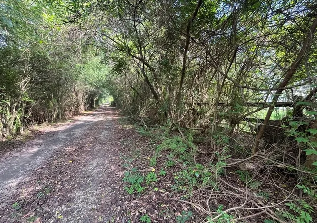 Photo 3 of Land for sale at 23328 Honeysuckle Rd, Bush, LA 70431 | MLS# 2576865 | Listing updated on 2026-09-12