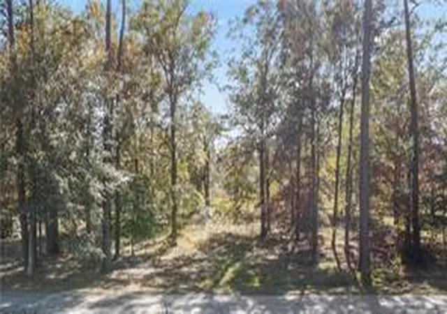 Photo 3 of Land for sale at Mattingly Ln, Madisonville, LA 70447 | MLS# 2577041 | Listing updated on 2026-09-14