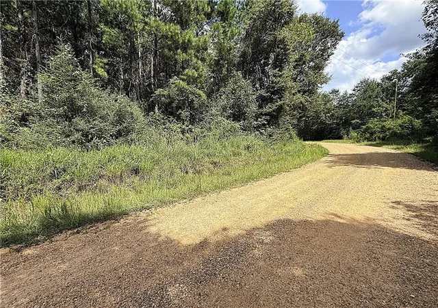 Photo 3 of Land for sale at Lot F Otis Jones Rd, Franklinton, LA 70438 | MLS# 2577045 | Listing updated on 2026-09-14