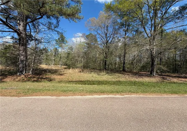 Land for sale at Lot 15c-2 Persimmon Ln, Abita Springs, LA 70420 | MLS# 2577189