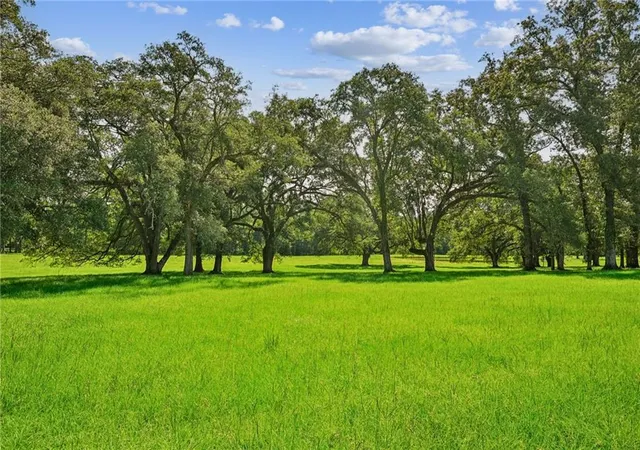 Photo 2 of Land for sale at 20460 Smith Rd, Covington, LA 70435 | MLS# 2576446 | Listing updated on 2026-09-16