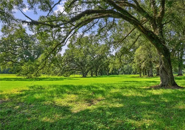 Photo 3 of Land for sale at 20460 Smith Rd, Covington, LA 70435 | MLS# 2576446 | Listing updated on 2026-09-16