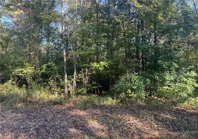 Land for sale at 25397 Taylor Crk Rd, Amite, LA 70422 | MLS# 2577477