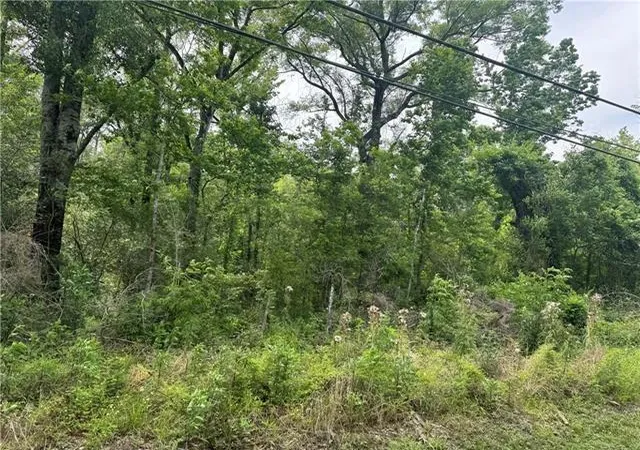 Photo 2 of Land for sale at 12258 N Central Ave, Roseland, LA 70456 | MLS# 2577487 | Listing updated on 2026-09-16