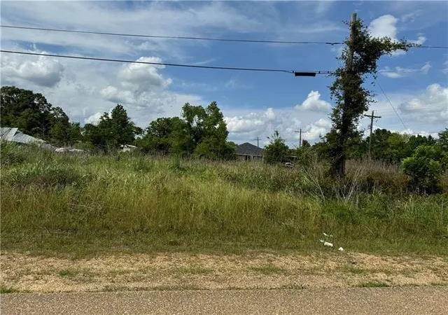 Photo 3 of Land for sale at Tangipahoa Ave, Tangipahoa, LA 70465 | MLS# 2577494 | Listing updated on 2026-09-16
