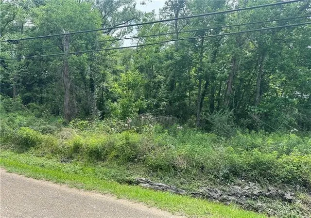 Photo 3 of Land for sale at Commercial St, Roseland, LA 70456 | MLS# 2577499 | Listing updated on 2026-09-16