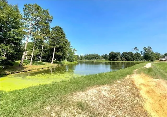 Photo 4 of Land for sale at Lot 315 Bald Eagle Dr, Abita Springs, LA 70420 | MLS# 2577708 | Listing updated on 2026-09-17
